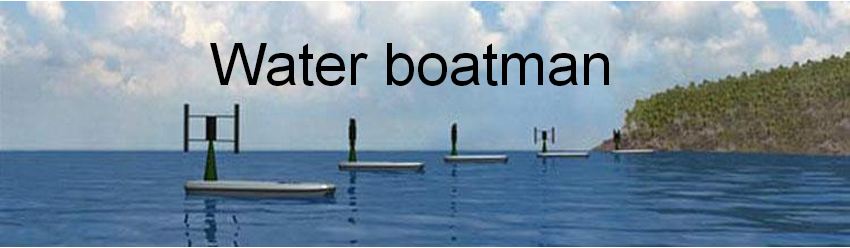 water-boatman-banner